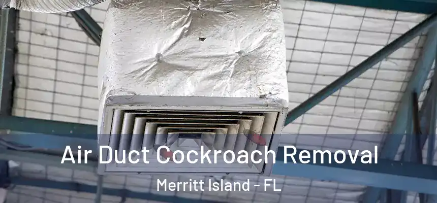 Air Duct Cockroach Removal Merritt Island - FL