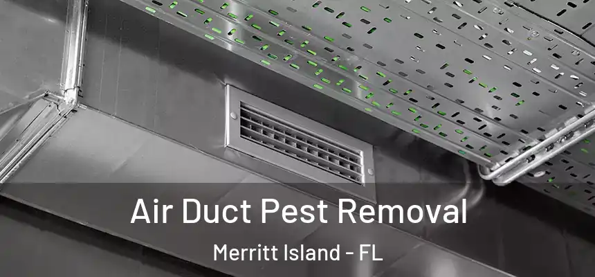 Air Duct Pest Removal Merritt Island - FL
