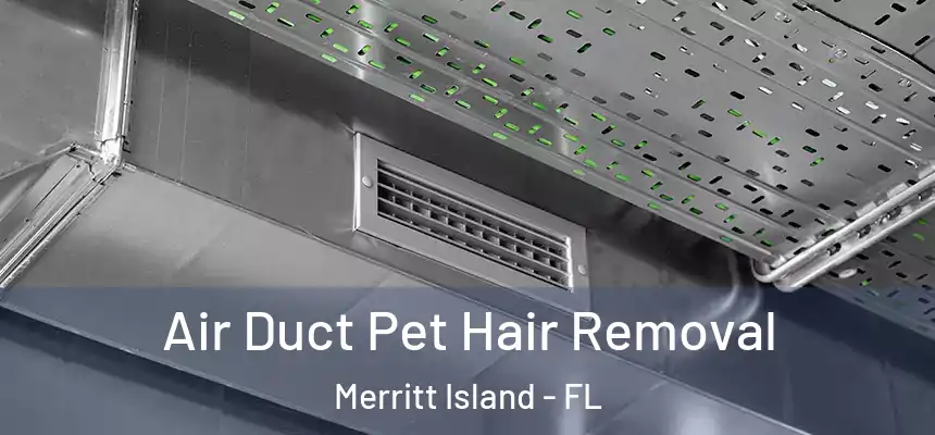  Air Duct Pet Hair Removal Merritt Island - FL