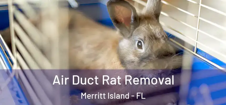 Air Duct Rat Removal Merritt Island - FL