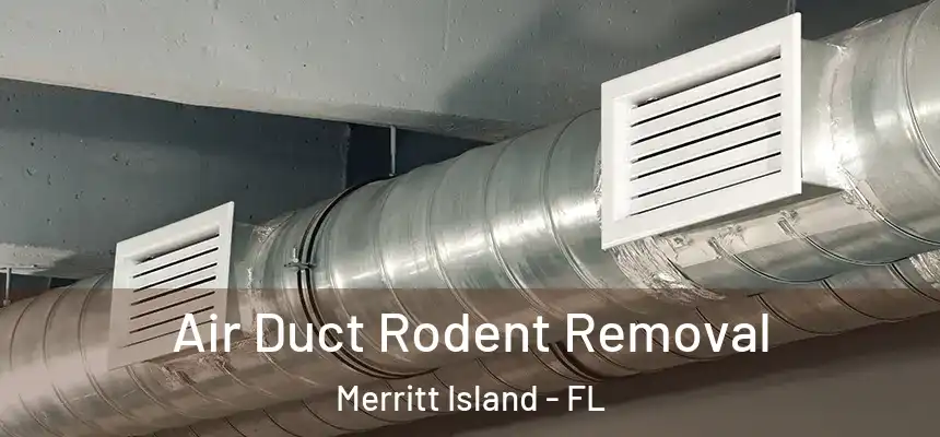 Air Duct Rodent Removal Merritt Island - FL
