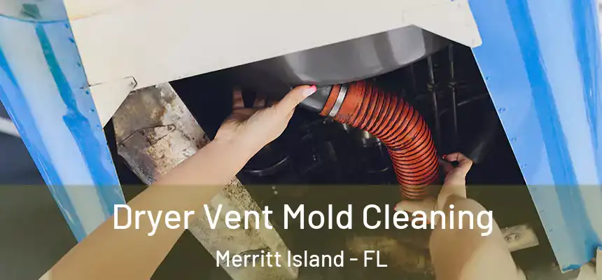 Dryer Vent Mold Cleaning Merritt Island - FL
