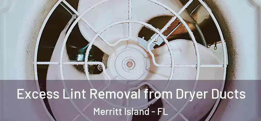 Excess Lint Removal from Dryer Ducts Merritt Island - FL