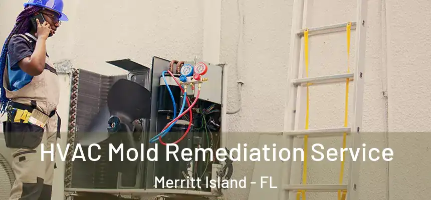 HVAC Mold Remediation Service Merritt Island - FL