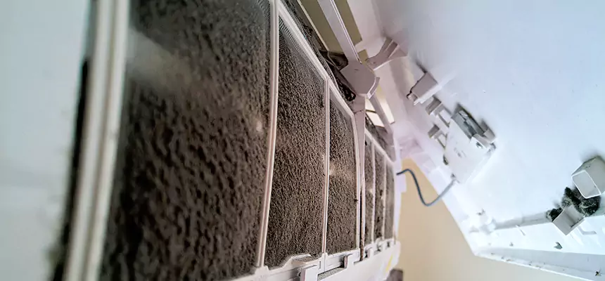 Preventive Air Duct Bacteria Removal in Merritt Island