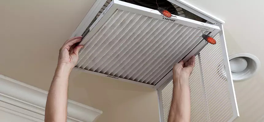 Preventive Cockroach-Proofing for Ducts in Merritt Island