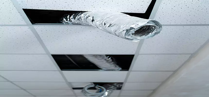 Affordable HVAC Sanitizing After Pest Removal in Merritt Island