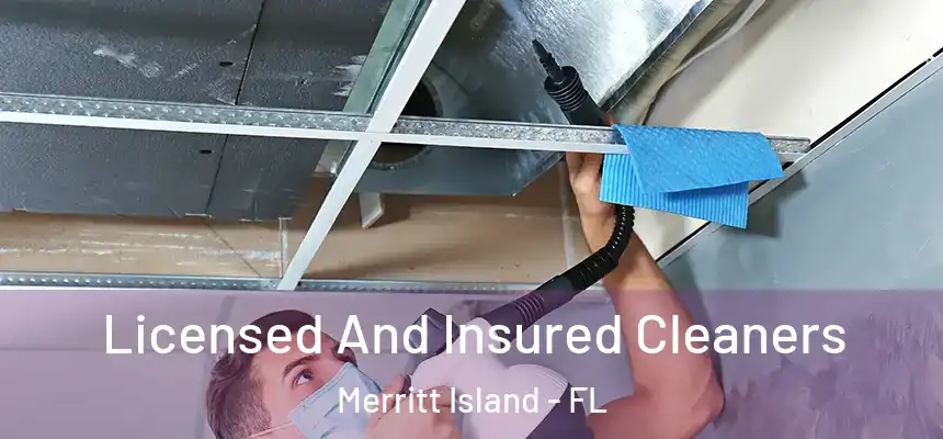 Licensed And Insured Cleaners Merritt Island - FL