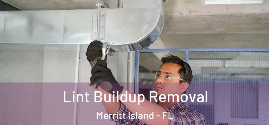 Lint Buildup Removal Merritt Island - FL