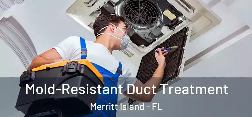 Mold-Resistant Duct Treatment Merritt Island - FL