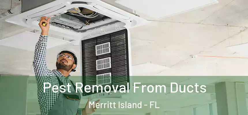 Pest Removal From Ducts Merritt Island - FL