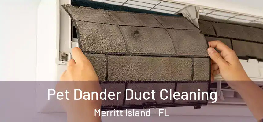 Pet Dander Duct Cleaning Merritt Island - FL