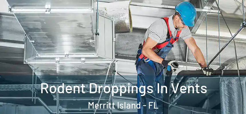 Rodent Droppings In Vents Merritt Island - FL