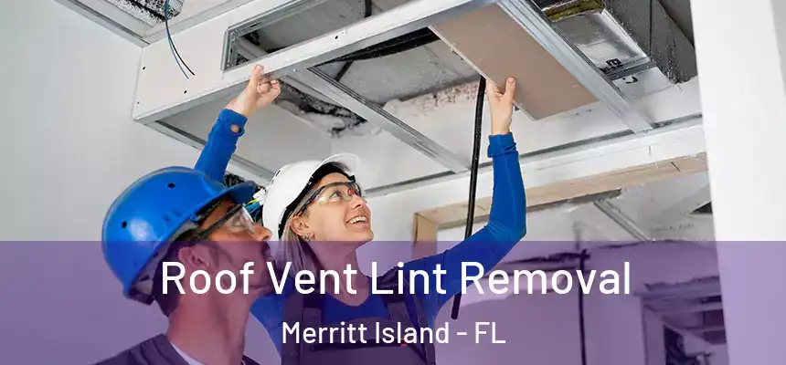 Roof Vent Lint Removal Merritt Island - FL