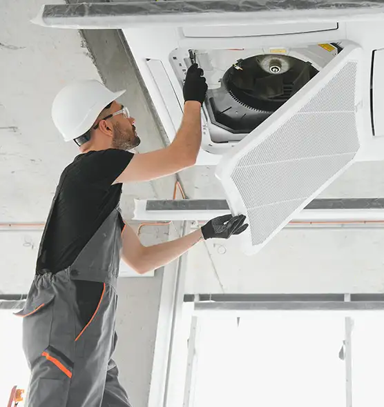 About Air Duct Rodent Removal in Merritt Island, FL