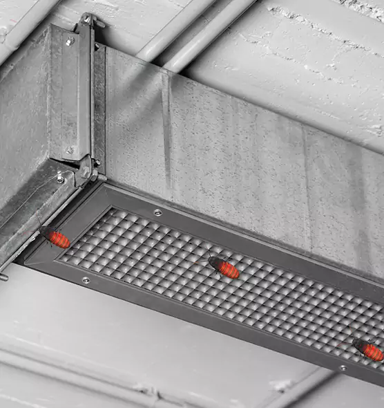 Affordable Insect Removal from Air Ducts in Merritt Island, FL