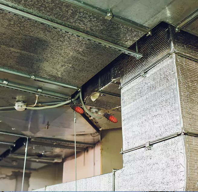 Why Homeowners & Businesses Trust Us in Merritt Island, FL?