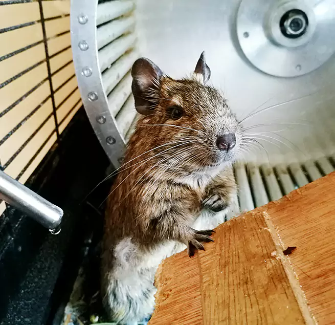 Why Homeowners & Businesses Trust Us Merritt Island, FL