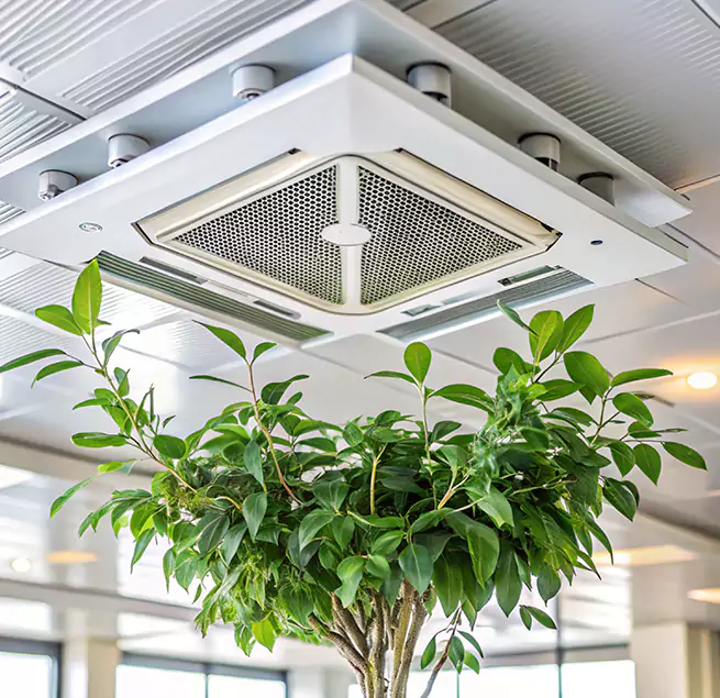 Why Homeowners & Businesses Trust Us in Merritt Island, FL?